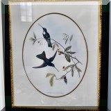 A39. Framed bird print.